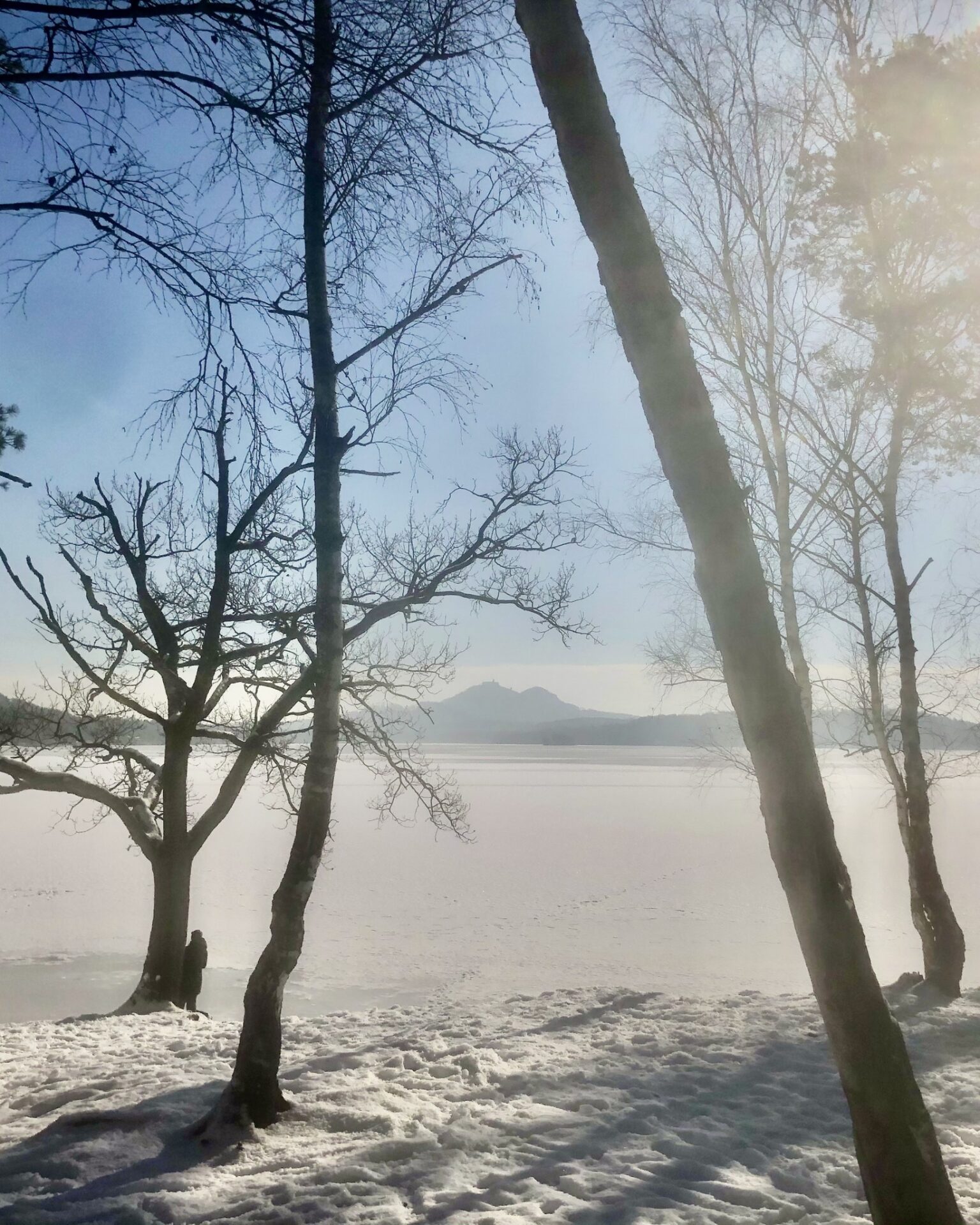A tohle byla zima u Máchova jezera ❄️🌊

Ticho.
Zamrzlá hladina.
Les, který voní jinak než v létě.

Žádné davy.
Jen klid, prostor a pocit, že se svět na chvíli zpomalil.

No není tu krásně?

Mácháč není jen letní destinace. Každé roční období tu má svoje kouzlo – a právě to nás na tom baví nejvíc.

Uložte si to.
A přijeďte se o tom přesvědčit na vlastní oči. 🌿

Chatky Mácháč – od jara až do zimy.

#machovojezero #machac #zima #jaroseblizi #ceskapriroda #klid #chatkymachac #dovolena #vikendvprirode #ubytovani #leto2026 #rodinnadovolena #ceskarepublika
